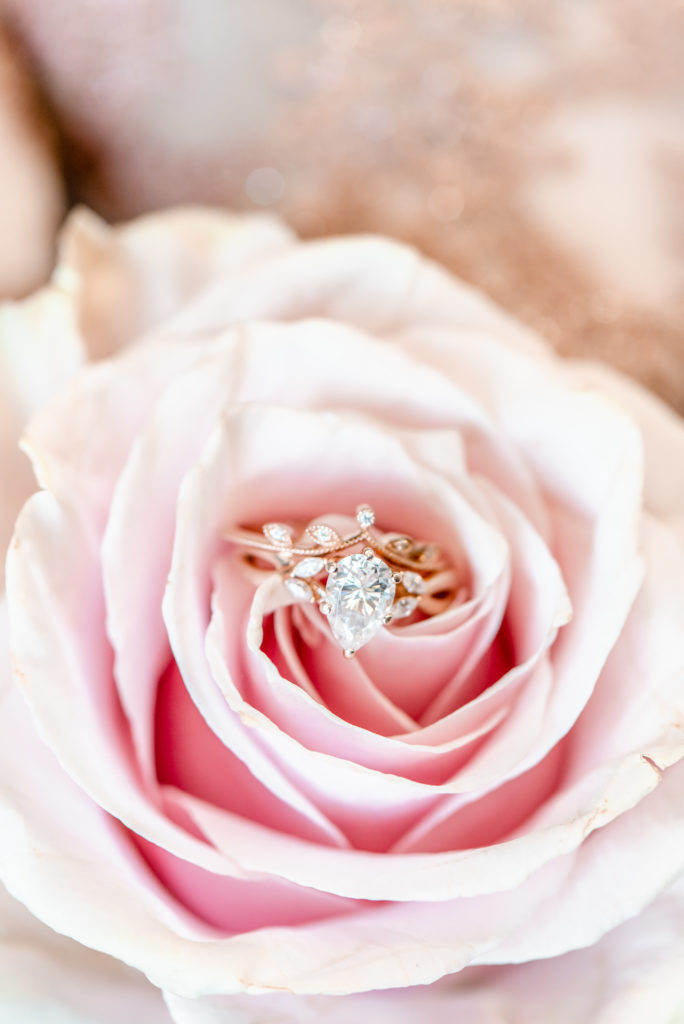Engagement Ring at Avon Gardens