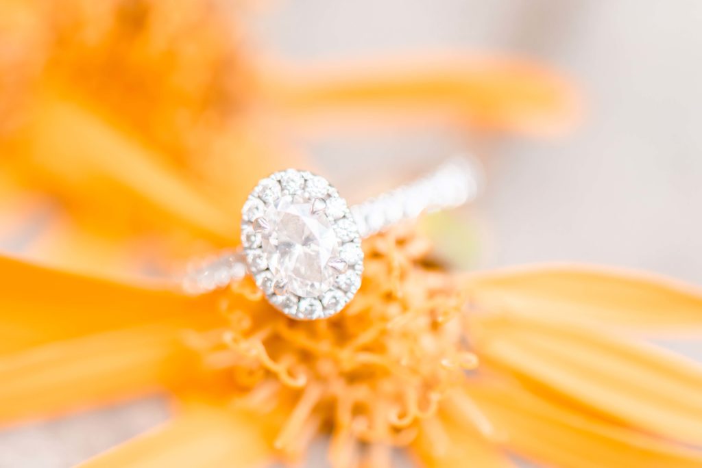 Engagement Ring Closeup